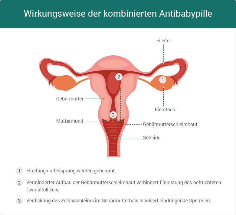 wirkungsweise antibabypille